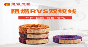 什么是RVS雙絞線？花2分鐘看看你就了解。