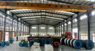廣東電纜廠家告訴您：發(fā)熱電纜的單導(dǎo)電纜和雙導(dǎo)電纜有哪些區(qū)別？